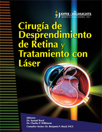 Portada 63 CirugDespRetina